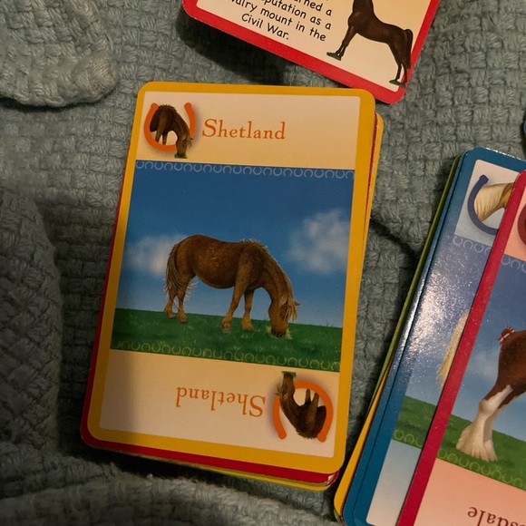 Hooray for Horses Card Game - Picture 6 of 9